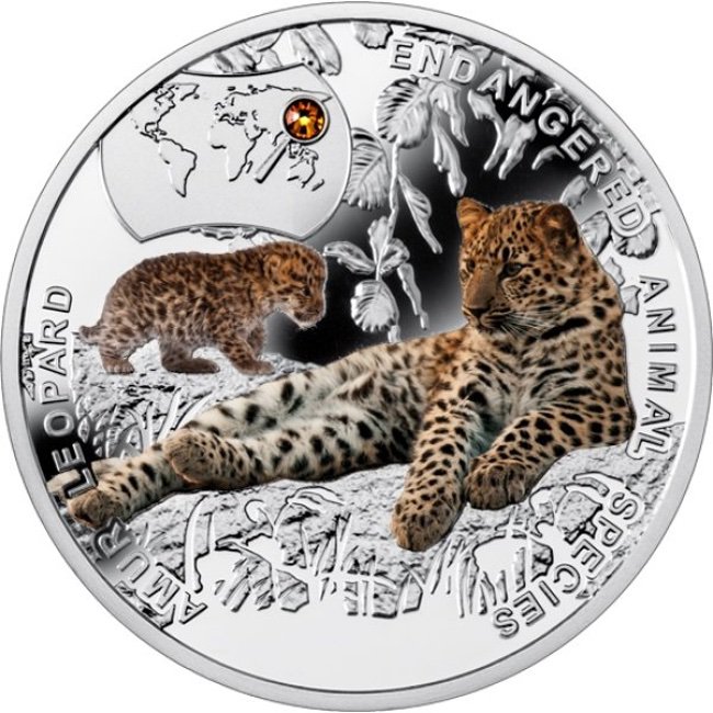 2014 Niue Amur Leopard Endangered Animal Species 1/2 oz Proof Silver Coin | GoldSilver360