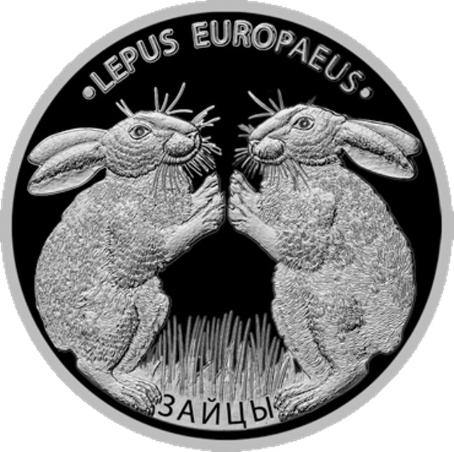 2014 Belarus LEPUS EUROPAEUS HARES Rabbits Proof Finish Silver Coin | GoldSilver360