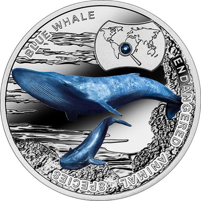 2015 Niue Blue Whale Endangered Animal Species 1/2 oz Proof Silver Coin | GoldSilver360