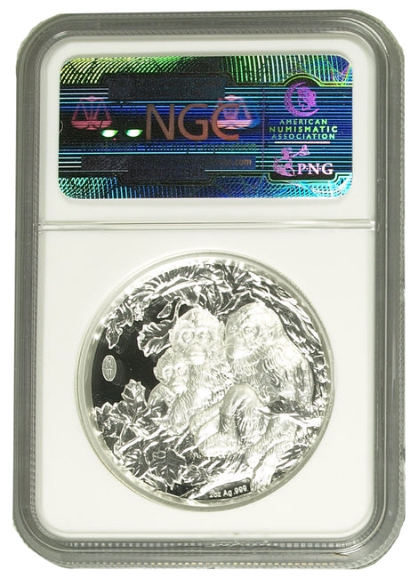 2016 China Lunar Panda Monkey Silver Proof Shenyang Mint NGC 70 | GoldSilver360